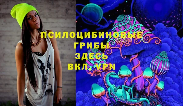 твердый Зеленокумск